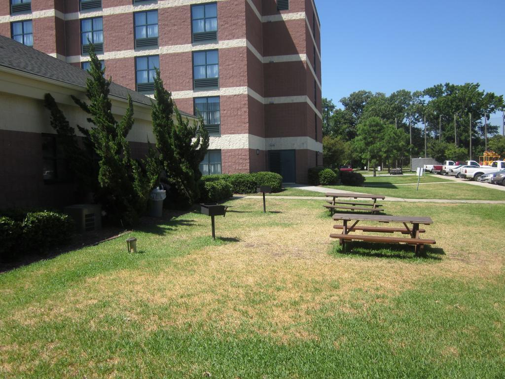 Sleep Inn Lake Wright - Norfolk Airport Exterior photo